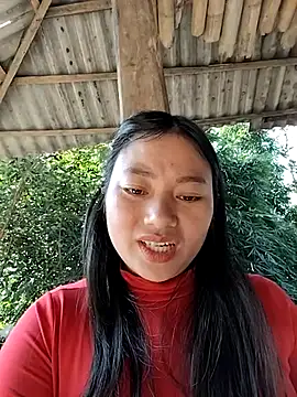 Snapshot of Sinhlinh2020 chatting on 11/25/25, 04:56 Sinhlinh2020 online show from 11/25/25, 04:56