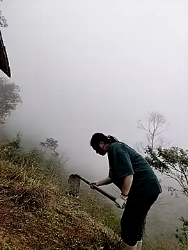 Sinhlinh2020 online show from 03/23/26, 02:48