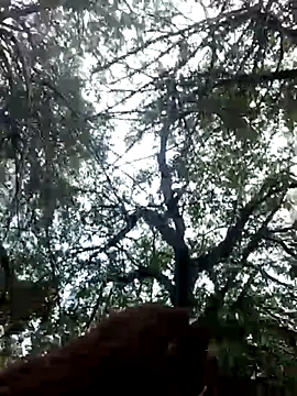 Labellasex online show from 12/20/25, 07:10