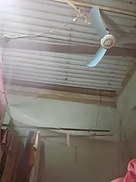 Squirrel-Pear online show from 11/19/25, 02:39