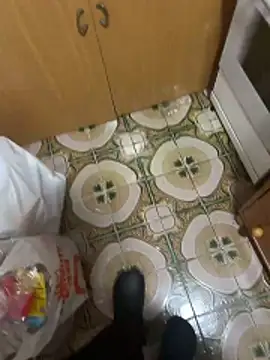 Anaconda Negra20 online show from 12/16/25, 06:13