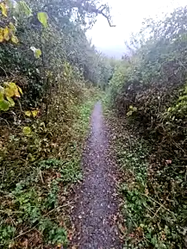 bbyxklaus online show from 10/20/25, 11:43