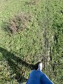 bbyxklaus online show from 11/01/25, 12:18