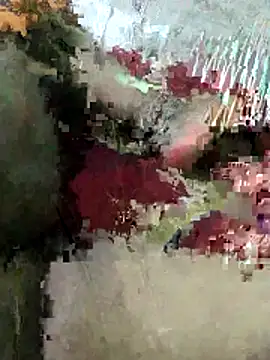 sexy 6hvhhh online show from 10/26/25, 12:44