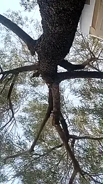 alphacloudGod online show from 04/21/26, 01:42