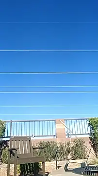 alphacloudGod online show from 04/21/26, 11:29