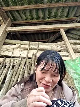 Snapshot of chipu06 chatting on 11/15/25, 03:37 chipu06 online show from 11/15/25, 03:37