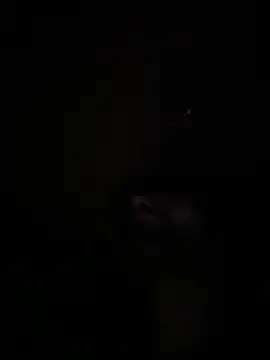 Paapii1098 online show from 12/16/25, 12:48