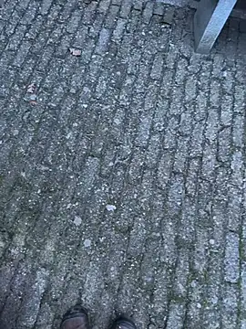 bart98geil online show from 02/14/26, 06:54