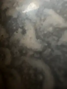 bart98geil online show from 02/16/26, 07:26