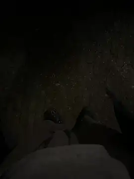 bart98geil online show from 03/01/26, 09:28