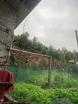 Irin jo online show from 02/01/26, 12:31