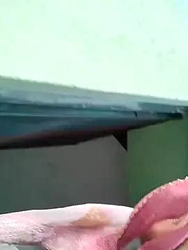 Snapshot of Bhumika_Love chatting on 11/11/25, 11:21 Bhumika Love online show from 11/11/25, 11:21