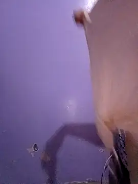 ArabianRose  online show from 03/10/26, 07:52