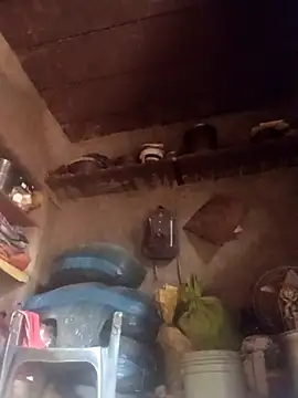 QRANSEXI online show from 11/18/25, 09:03