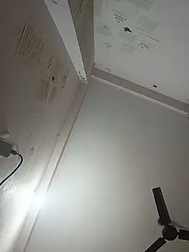 indoregigolo online show from 10/29/25, 03:03