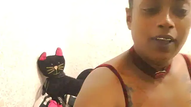 DOVE85 online show from 12/15/25, 11:47