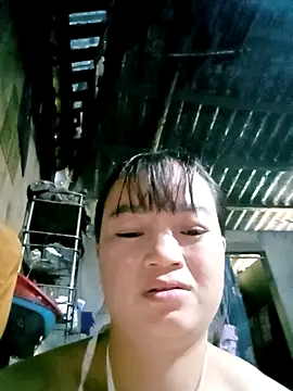 Noelle-e online show from 11/19/25, 03:28