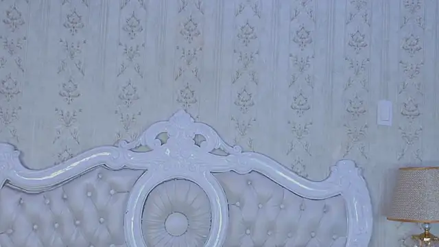 Kelly Swift online show from 04/24/26, 03:20