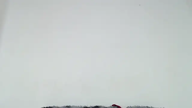 Mia fox29 online show from 10/31/25, 01:01