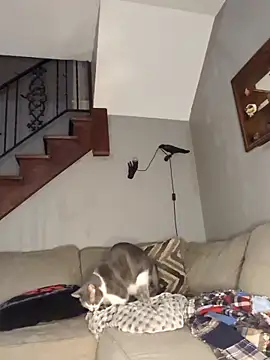 mattiethebaddieee online show from 03/21/26, 02:38