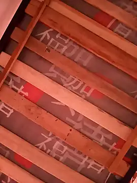 damian fort1 online show from 11/17/25, 04:24