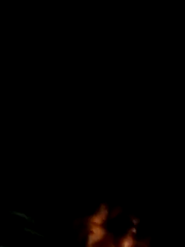 bella-la online show from 11/20/25, 09:03