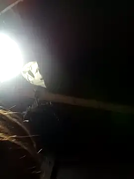 bella-la online show from 02/09/26, 11:14