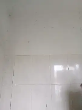 bella-la online show from 02/12/26, 01:00