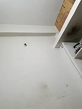 bigtelugubhama online show from 12/14/25, 11:53