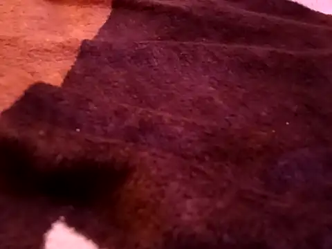 bigtelugubhama online show from 02/07/26, 08:23