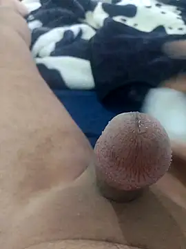 Ayoub ben27 online show from 11/08/25, 03:45