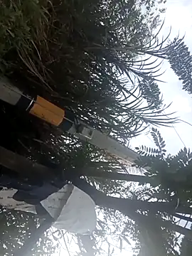 Snapshot of Camila-Valverde chatting on 01/31/26, 08:51 Camila-Valverde online show from 01/31/26, 08:51