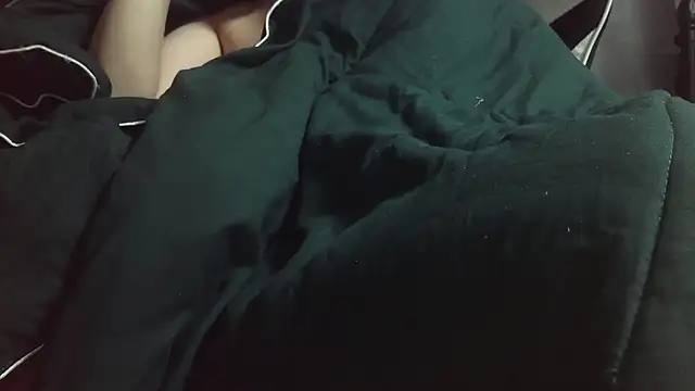 Stripholyday online show from 11/14/25, 02:49