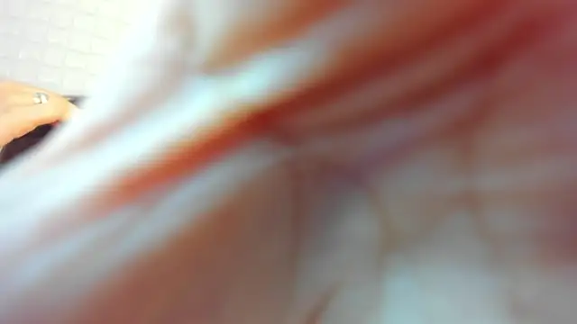 victoria 243 online show from 02/23/26, 03:59