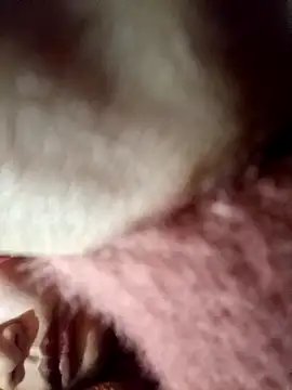 yoyo-mi online show from 01/09/26, 10:18