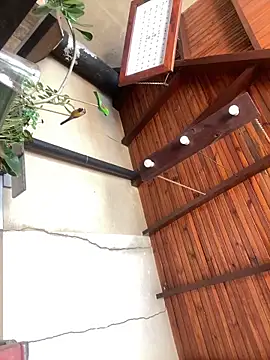 sabrinaneves online show from 04/19/26, 04:06