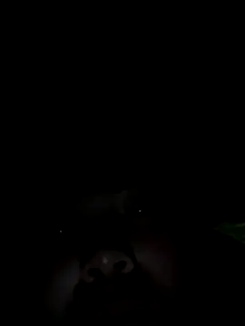 Snapshot of Nul-chal chatting on 01/05/26, 10:24 Nul-chal online show from 01/05/26, 10:24