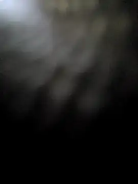 hotestanal online show from 12/16/25, 09:25