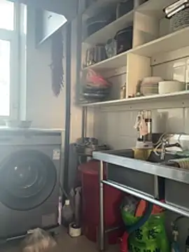 aniani11 online show from 04/24/26, 08:39