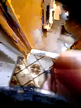 pino870 online show from 02/03/26, 10:04