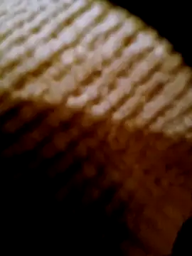 pino870 online show from 02/17/26, 04:24