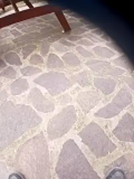 pino870 online show from 03/29/26, 01:55