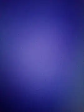 Pallu Asha online show from 03/16/26, 01:15