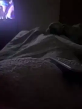 Snapshot of gatitaamelosaa7 chatting on 02/24/26, 02:53 gatitaamelosaa7 online show from 02/24/26, 02:53