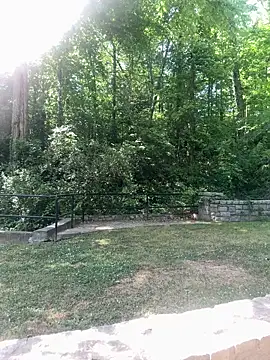 MadameMuse online show from 04/22/26, 07:48