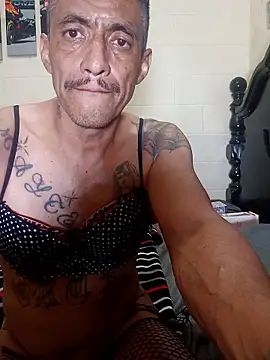 Innsacianle online show from 02/20/26, 07:10