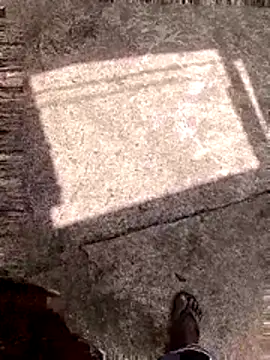 DK 9396 online show from 02/16/26, 08:43