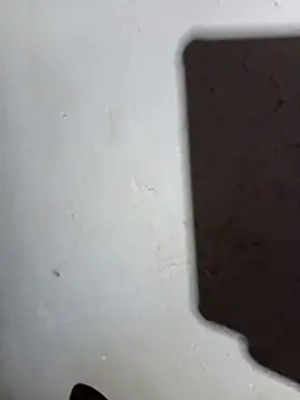 DK 9396 online show from 04/23/26, 06:21