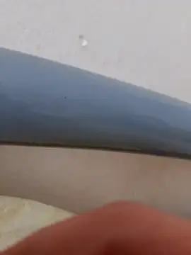 Brigitta886 online show from 11/01/25, 10:50